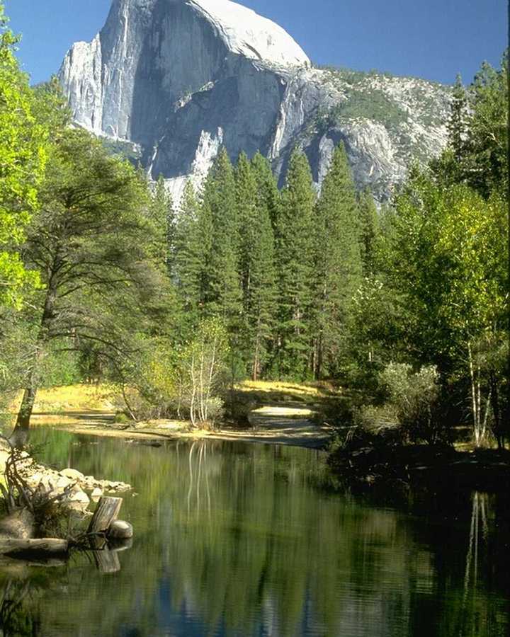  NATUR